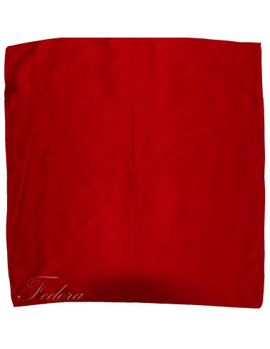 Pañuelo seda 53x53